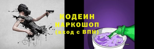дурь Арсеньев