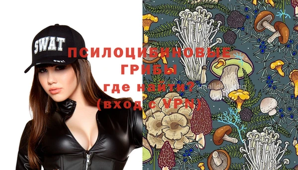 a pvp Алзамай