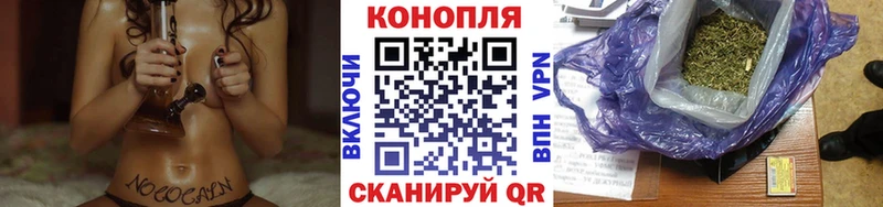 как найти   Полесск  shop Telegram  Бошки марихуана марихуана 